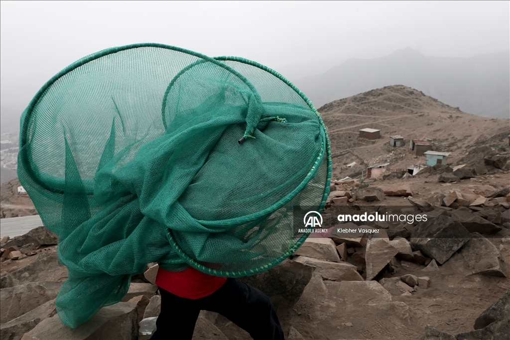 Zootechnical engineer turns clouds into water for needy neighborhoods in Peru