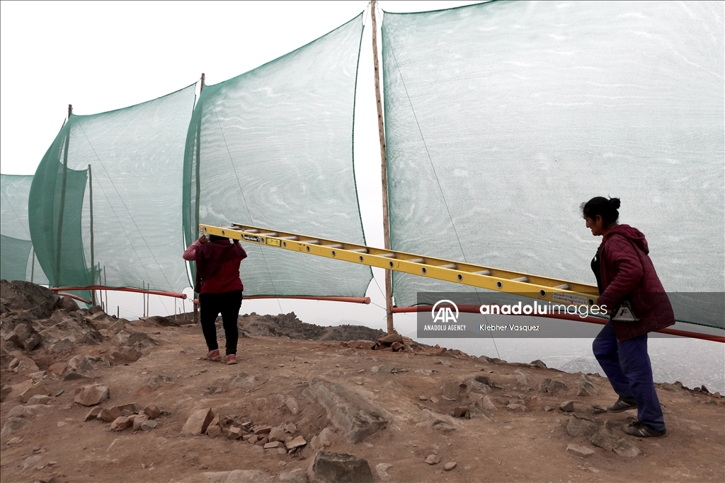 Zootechnical engineer turns clouds into water for needy neighborhoods in Peru