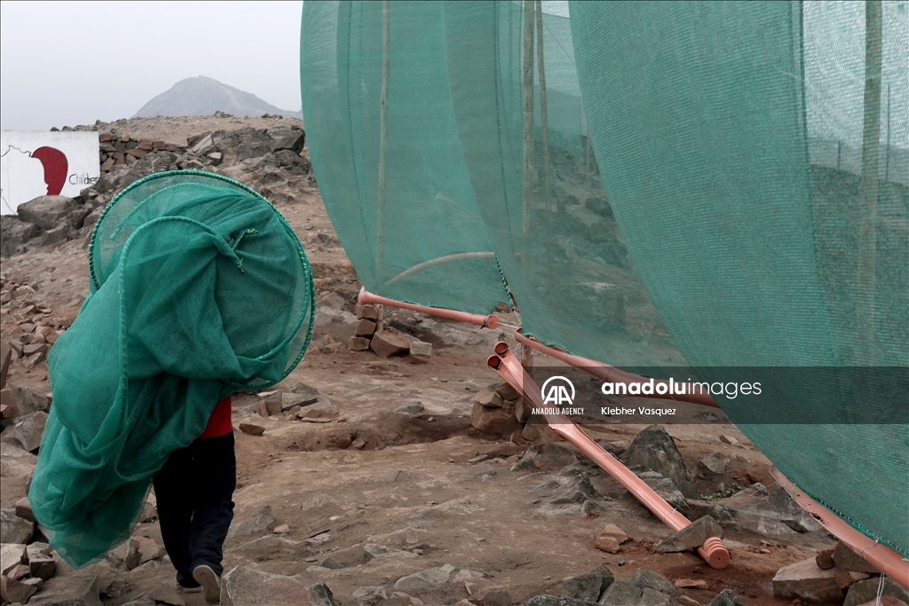 Zootechnical engineer turns clouds into water for needy neighborhoods in Peru