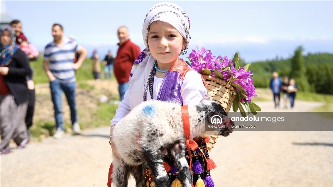 Sakarya'da yaylacıların renkli göç yolculuğu başladı