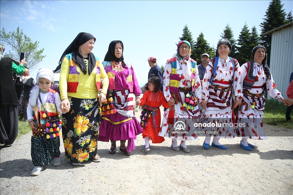 Sakarya'da yaylacıların renkli göç yolculuğu başladı