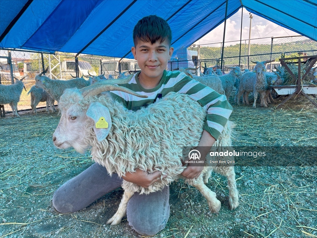 Hayvan pazarında ‘kurban’ hareketliliği