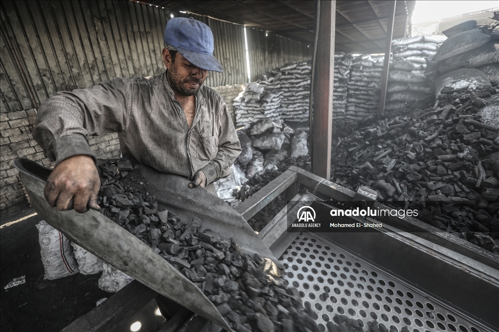 Угольщики в Египте трудятся в тяжелых условиях