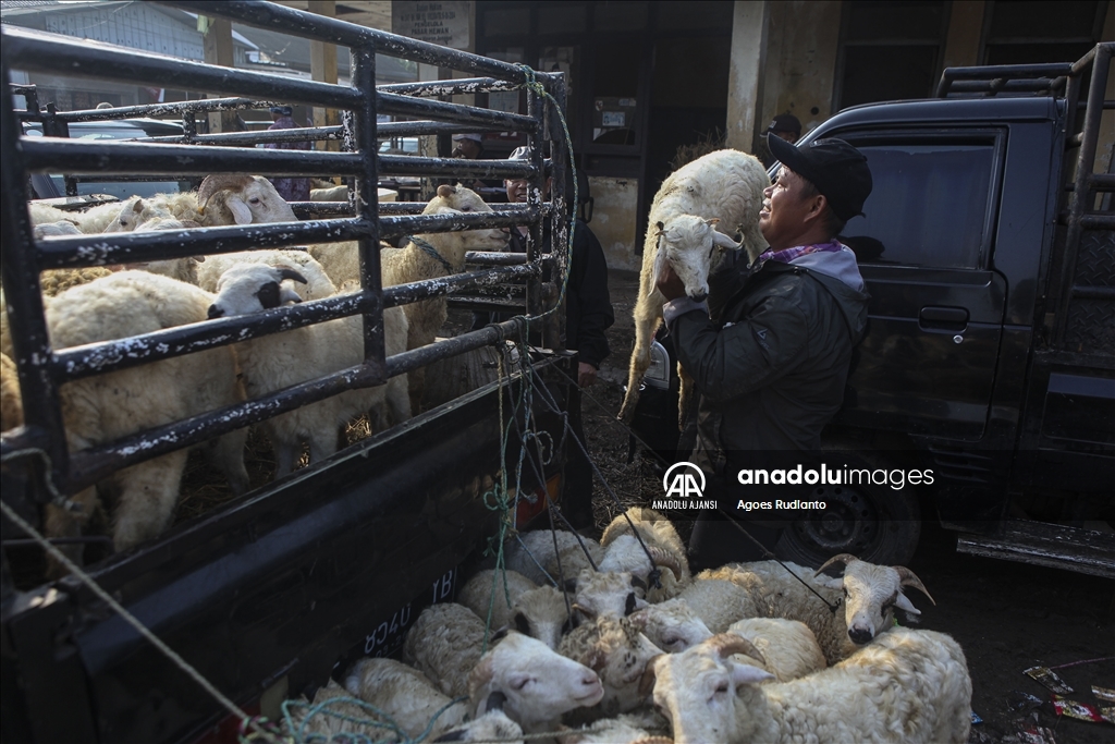 Endonezya'da Kurban Bayramı hazırlıkları