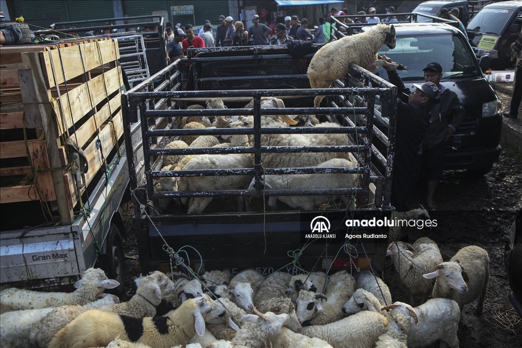 Endonezya'da Kurban Bayramı hazırlıkları
