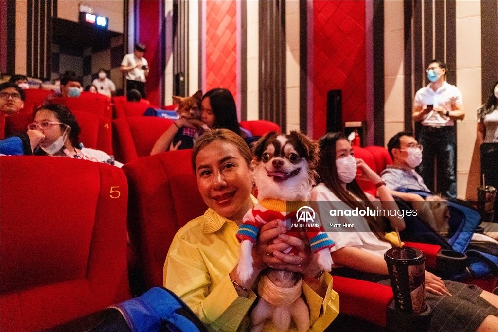 Tayland'da Evcil Hayvan Dostu Sinema