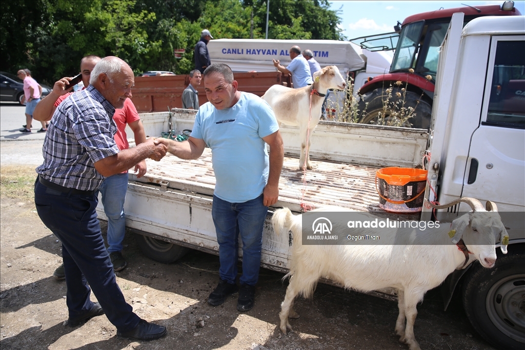 Trakya'da kurban pazarlarında arife hareketliliği
