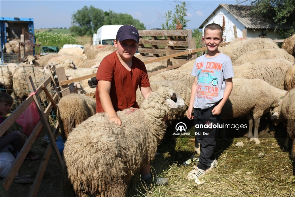 Kosova'da Kurban Bayramı hazırlıkları