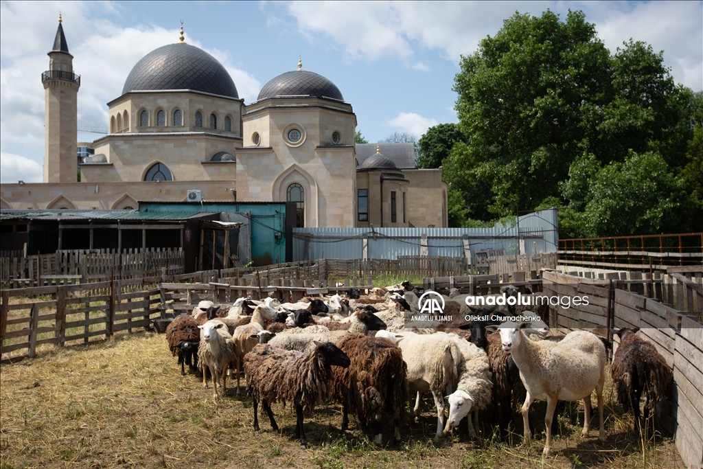 Kiev'de Kurban Bayramı Hazırlıkları