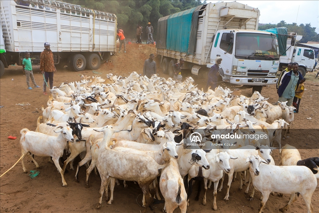 Kenya'da Kurban Bayramı hazırlıkları