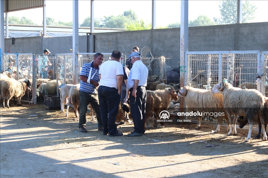 Arnavutluk'ta Kurban Bayramı hazırlıkları