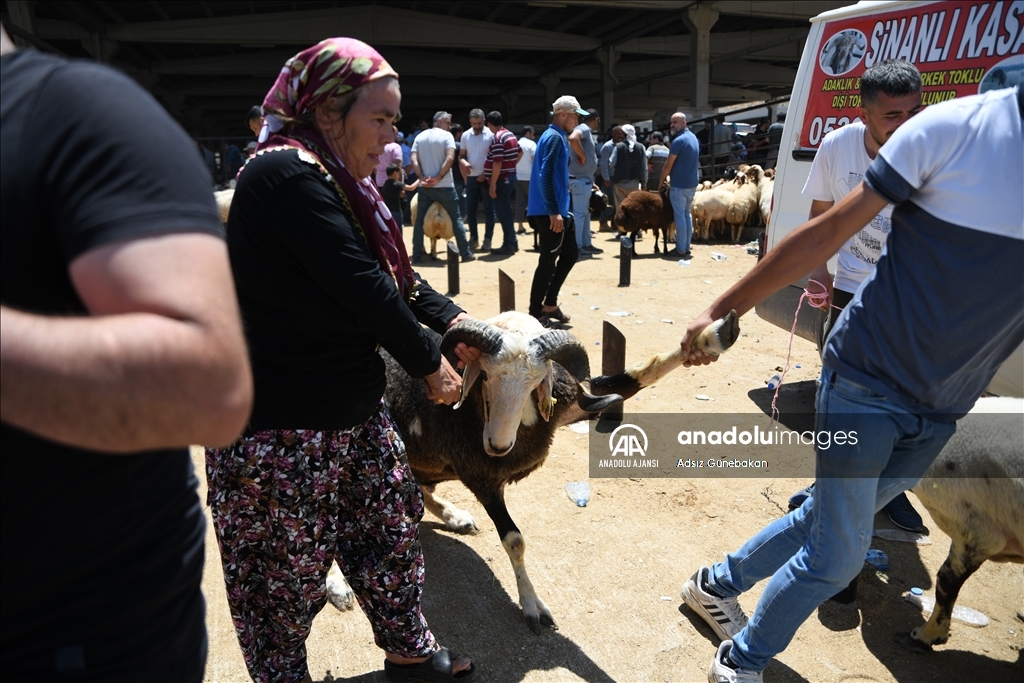 Gaziantep'te hayvan pazarında arife günü yoğunluğu yaşanıyor