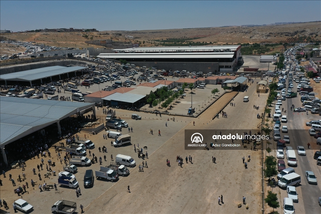 Gaziantep'te hayvan pazarında arife günü yoğunluğu yaşanıyor