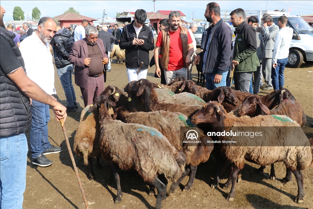 Doğu Anadolu'daki hayvan pazarlarında arife yoğunluğu yaşanıyor