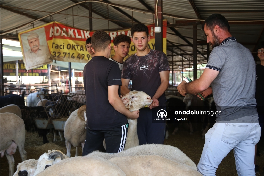 Antalya'da kurban pazarı ve tatlıcılarda yoğunluk yaşanıyor
