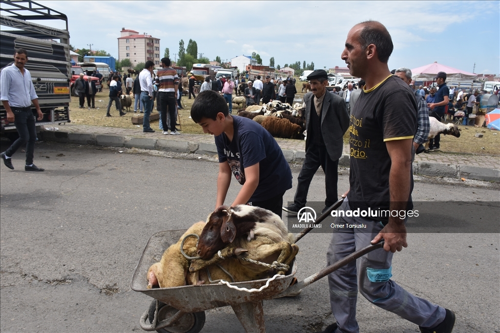 Doğu Anadolu'daki hayvan pazarlarında arife yoğunluğu yaşanıyor