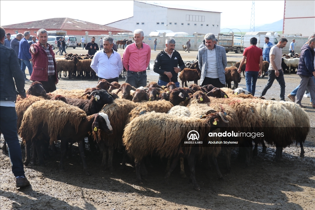 Doğu Anadolu'daki hayvan pazarlarında arife yoğunluğu yaşanıyor