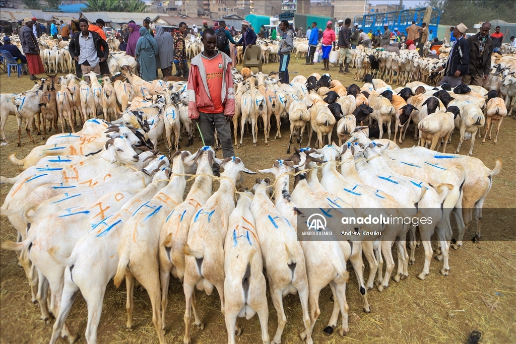 Kenya'da Kurban Bayramı hazırlıkları