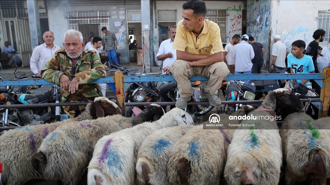 شلوغ‌ترین روزهای بازار بزرگ فروش دام در گنبد کاووس در آستانه عید قربان