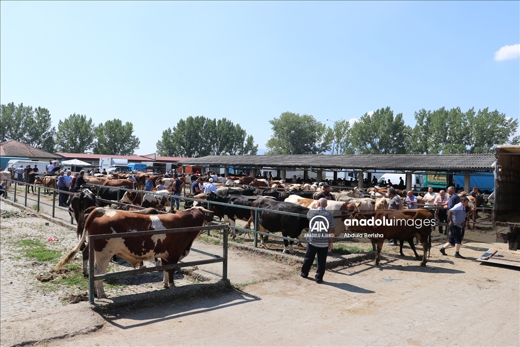 Kuzey Makedonya'da Kurban Bayramı hazırlıkları