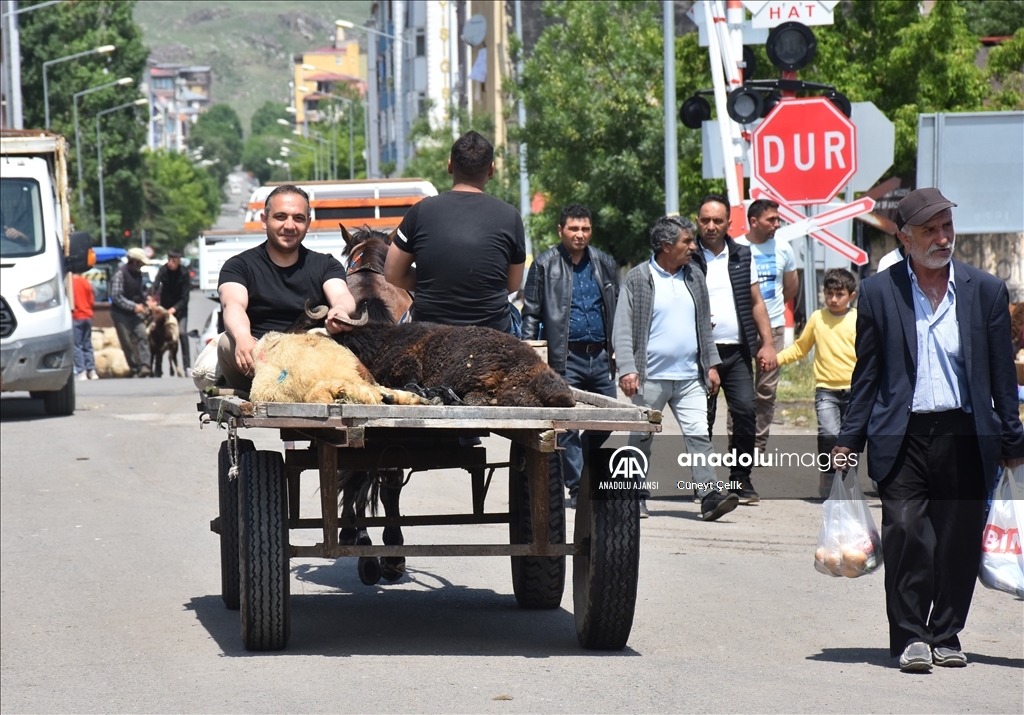 Kars'ta kurbanlıklar at arabalarıyla taşınıyor