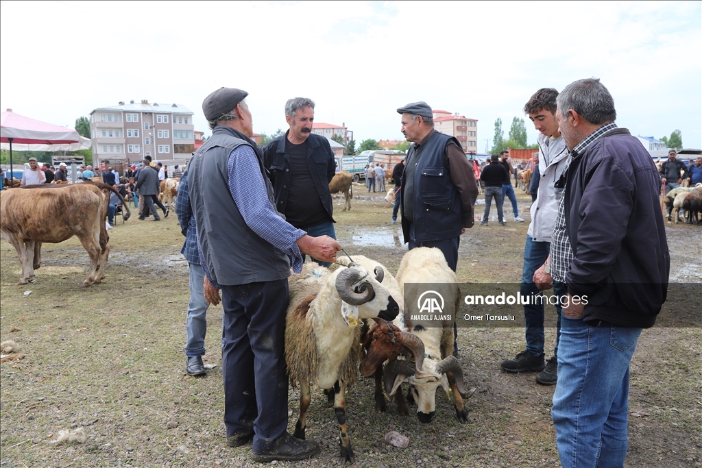 Doğu Anadolu'daki hayvan pazarlarında arife yoğunluğu yaşanıyor