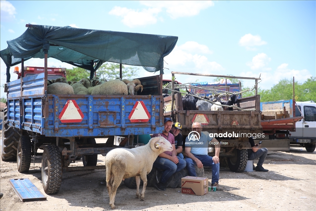 Trakya'da kurban pazarlarında arife hareketliliği