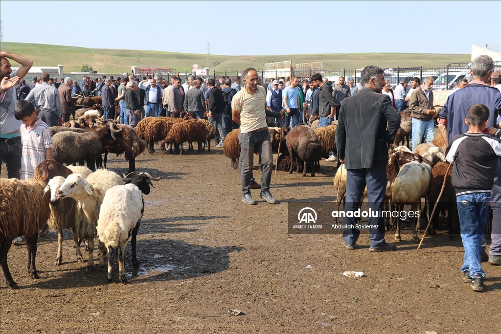 Doğu Anadolu'daki hayvan pazarlarında arife yoğunluğu yaşanıyor