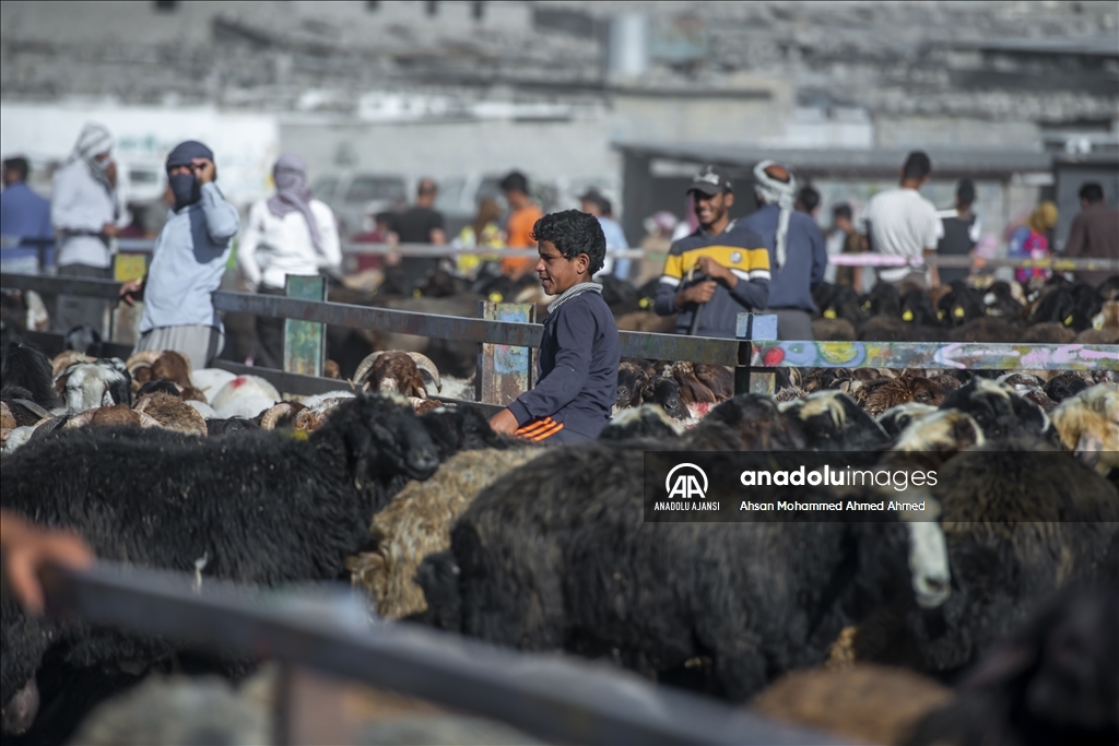 Erbil'de Kurban Bayramı öncesi hayvan pazarında hareketlilik yaşanıyor