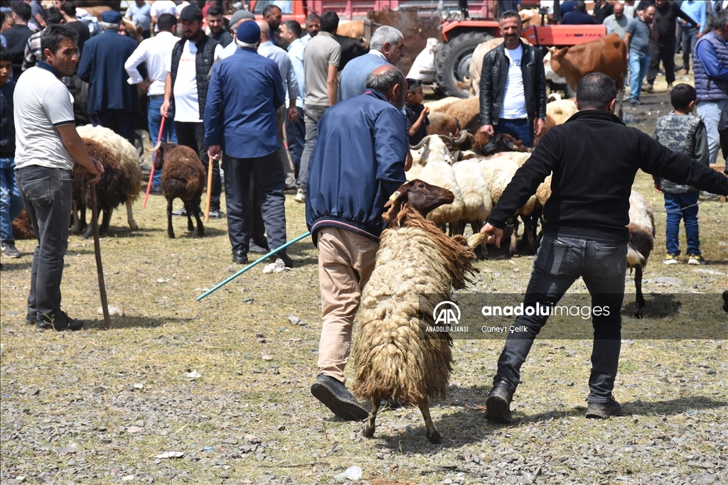 Doğu Anadolu'daki hayvan pazarlarında arife yoğunluğu yaşanıyor
