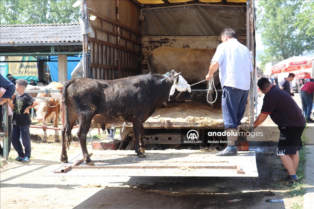 Kuzey Makedonya'da Kurban Bayramı hazırlıkları