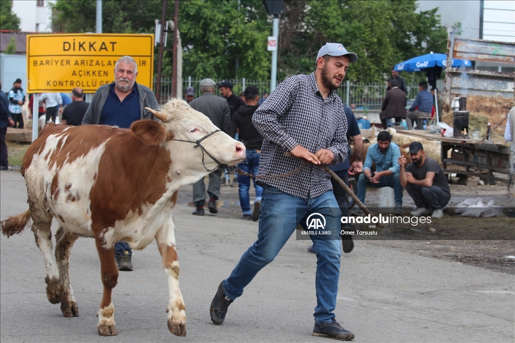 Doğu Anadolu'daki hayvan pazarlarında arife yoğunluğu yaşanıyor