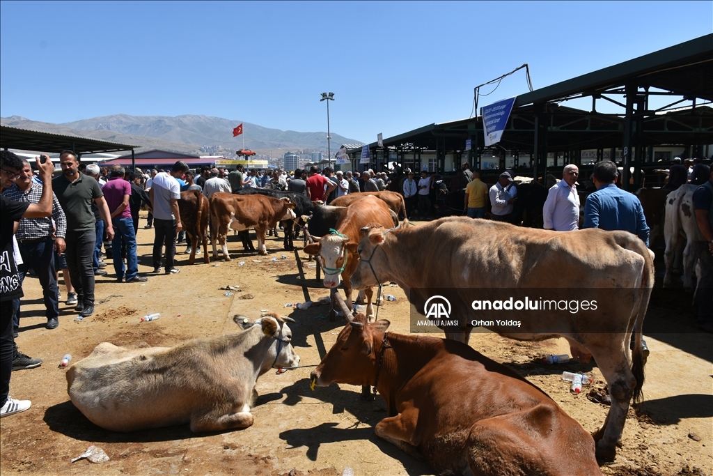 Malatya'da kurban pazarlarında arife hareketliliği
