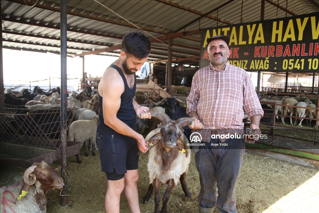 Antalya'da kurban pazarı ve tatlıcılarda yoğunluk yaşanıyor