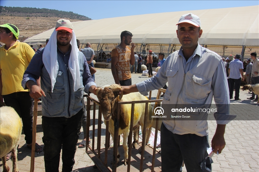 Kilis'te kurban pazarlarında arife hareketliliği