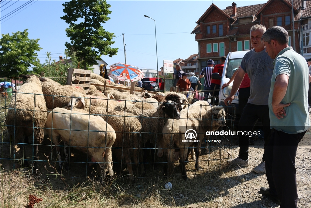 Kosova'da Kurban Bayramı hazırlıkları