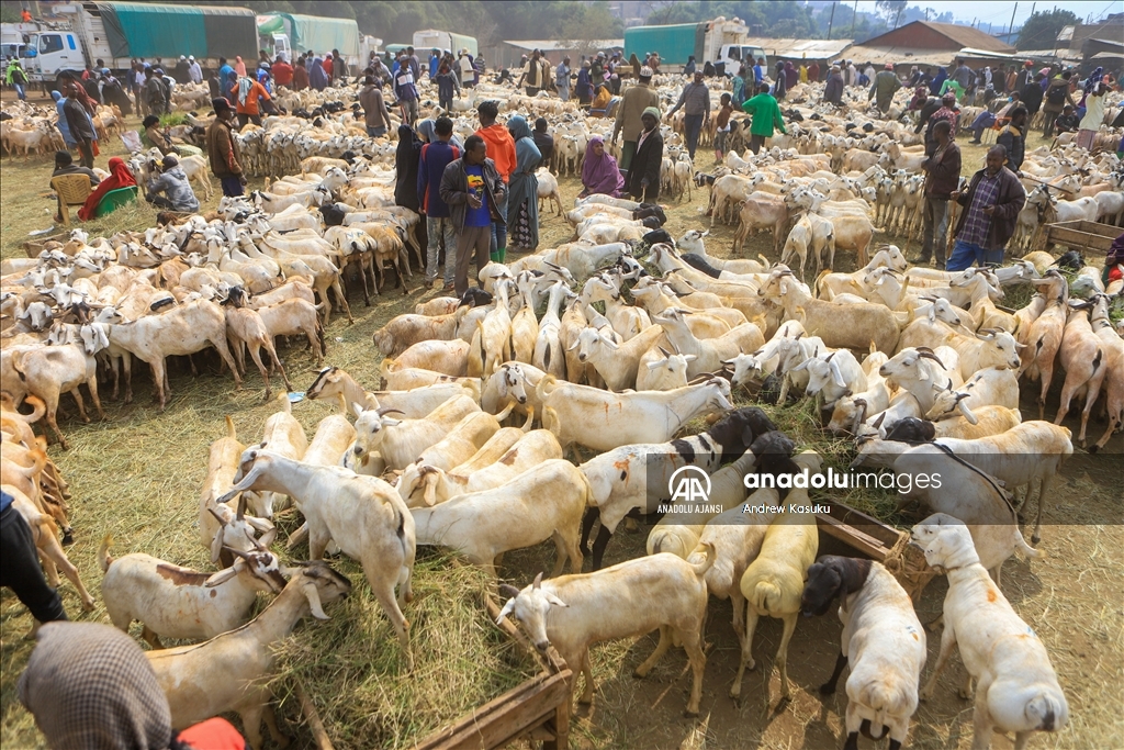Kenya'da Kurban Bayramı hazırlıkları