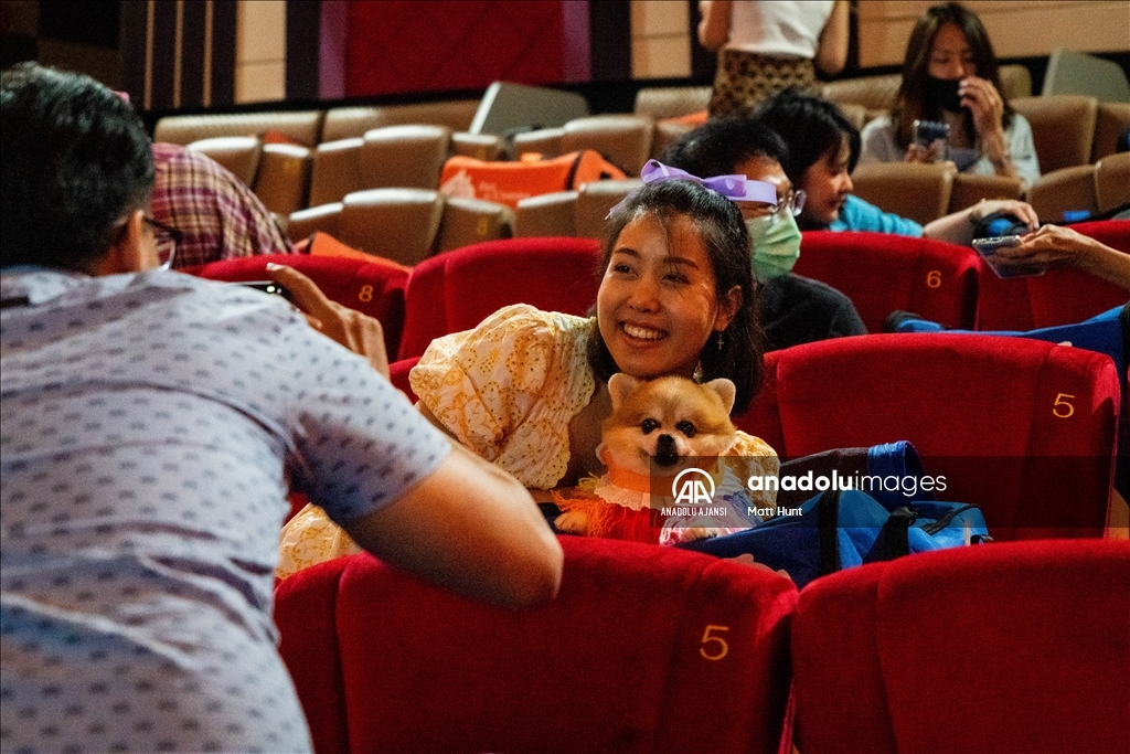 Tayland'da Evcil Hayvan Dostu Sinema