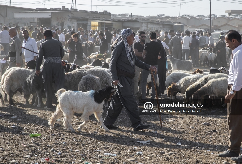 Erbil'de Kurban Bayramı öncesi hayvan pazarında hareketlilik yaşanıyor
