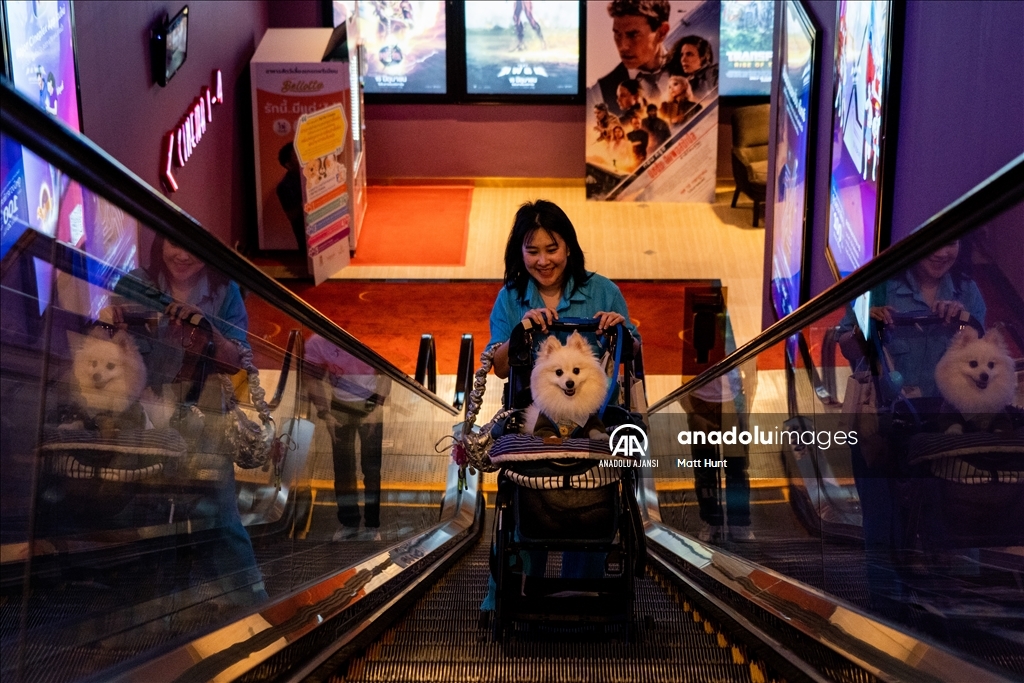 Tayland'da Evcil Hayvan Dostu Sinema