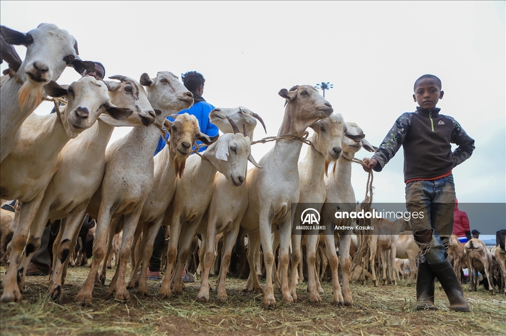 Kenya'da Kurban Bayramı hazırlıkları