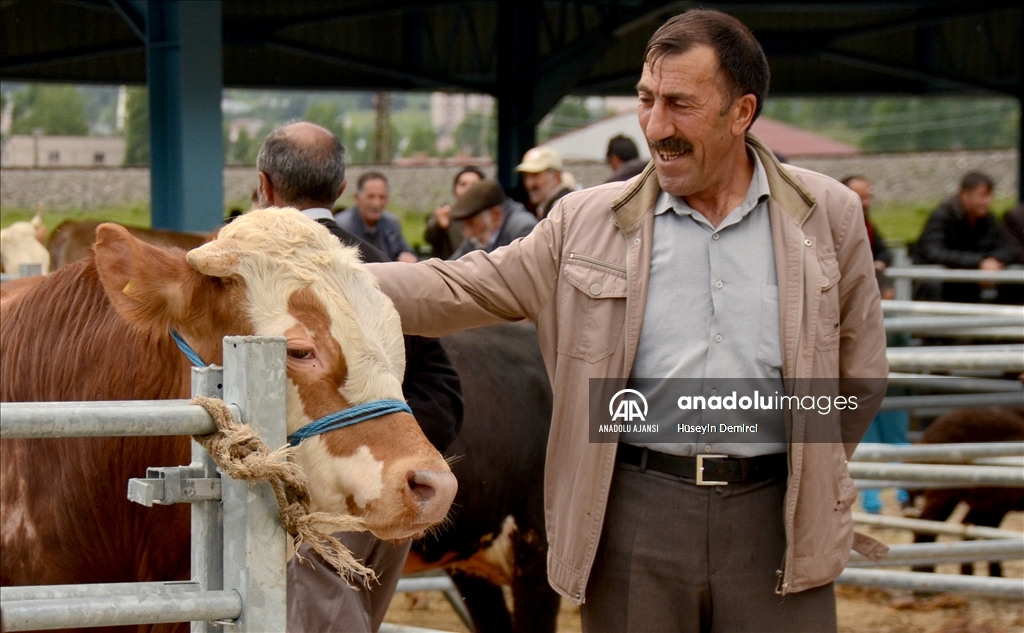 Doğu Anadolu'daki hayvan pazarlarında arife yoğunluğu yaşanıyor