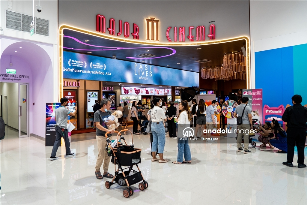 Tayland'da Evcil Hayvan Dostu Sinema