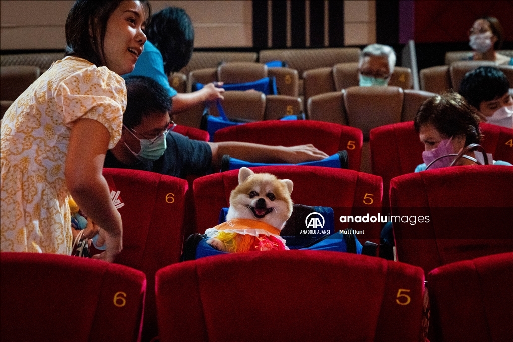 Tayland'da Evcil Hayvan Dostu Sinema