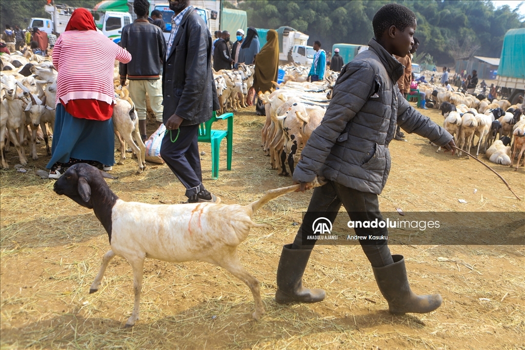 Kenya'da Kurban Bayramı hazırlıkları