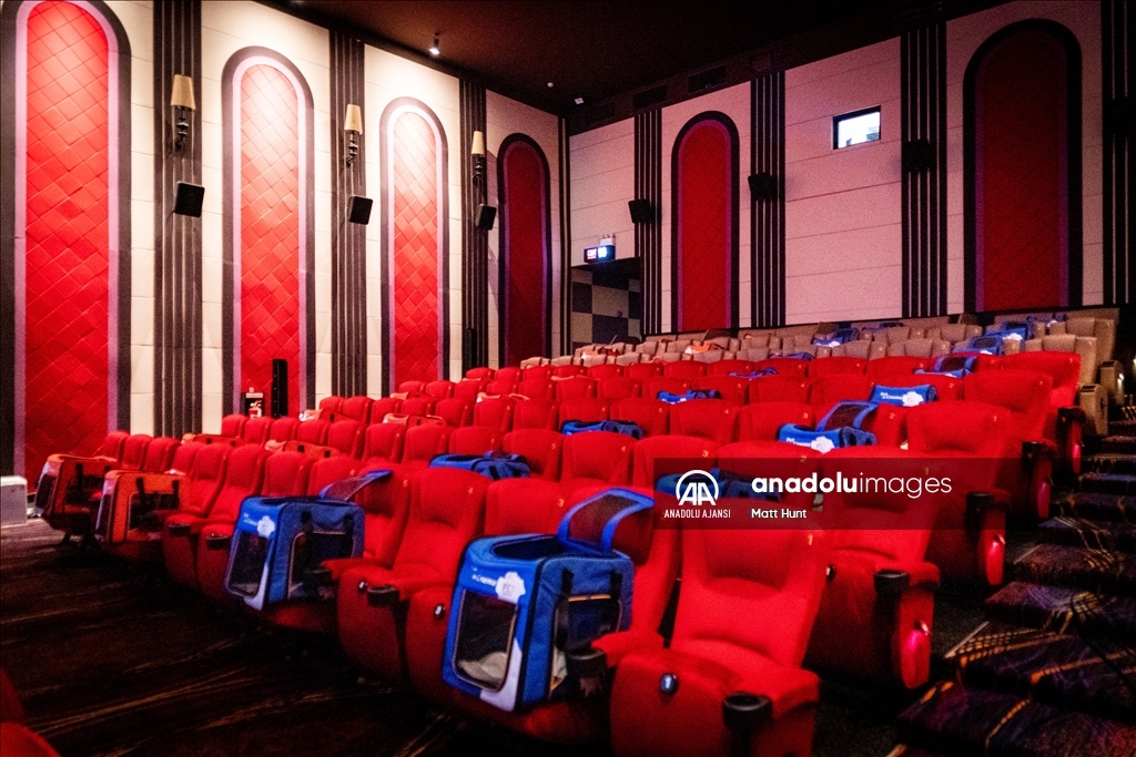 Tayland'da Evcil Hayvan Dostu Sinema