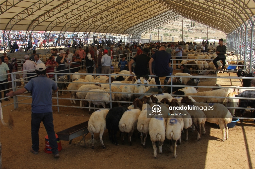 Kilis'te kurban pazarlarında arife hareketliliği