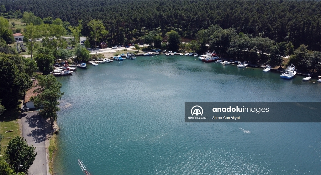 Sinop'un tabiat parkları bu yaz huzur ve sessizlik arayanların adresi olacak
