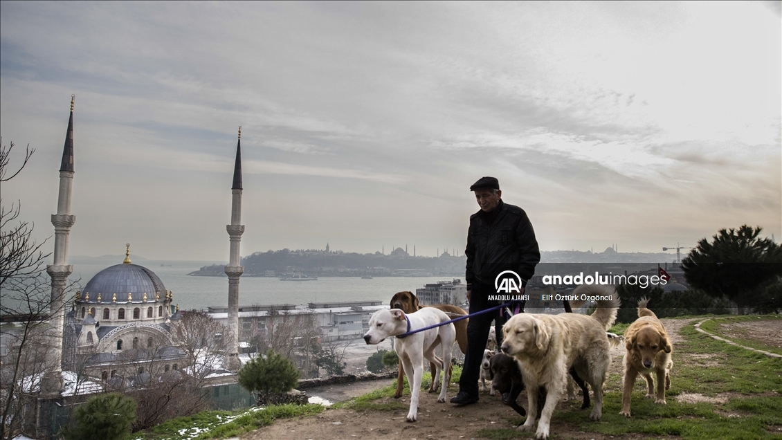 Metropol çobanı