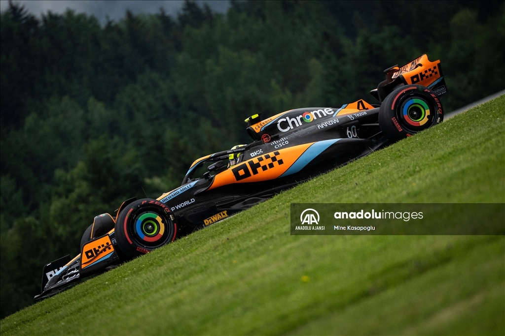 Formula 1 Avusturya Grand Prix'i